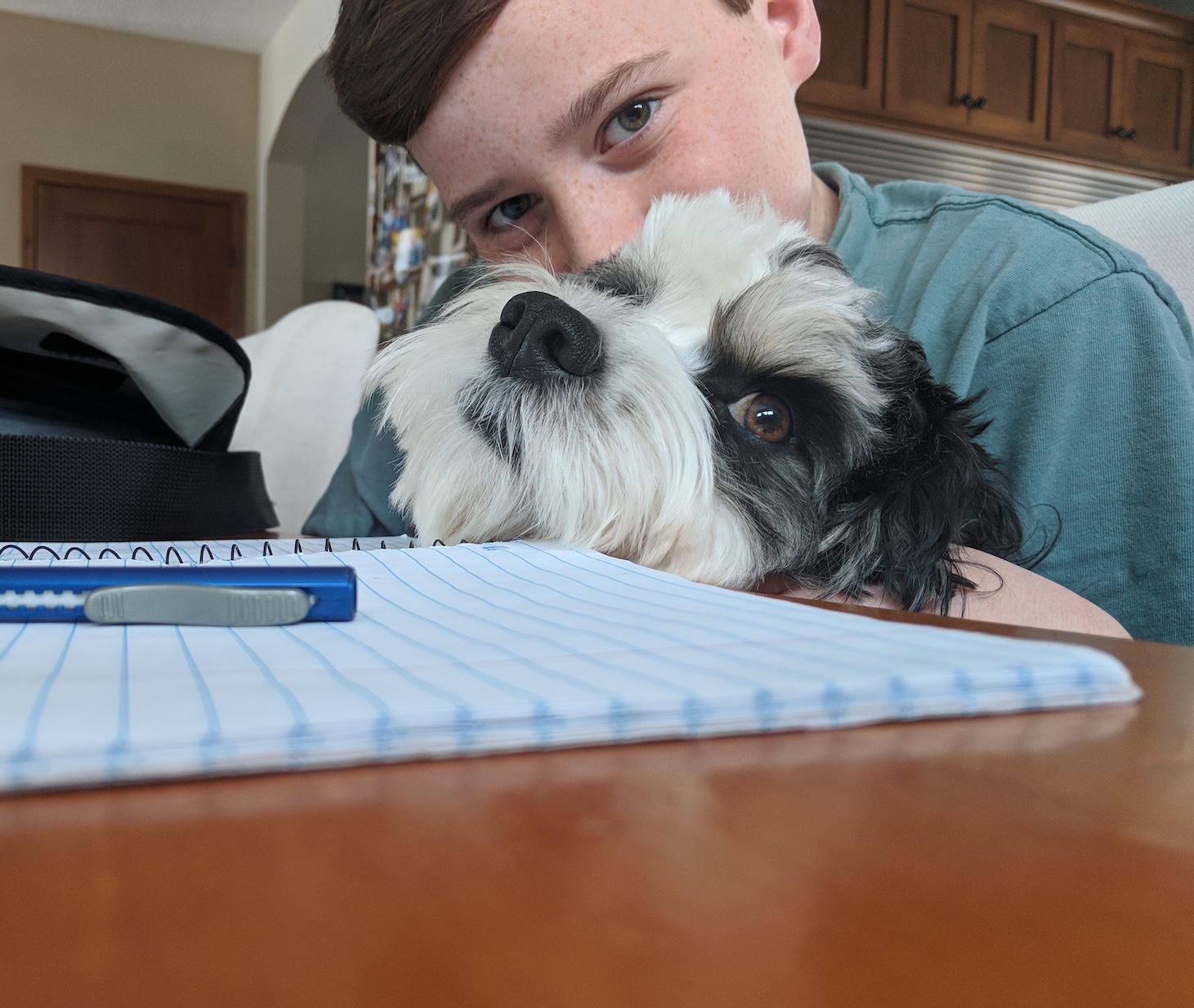 Finn and Sam doing homework